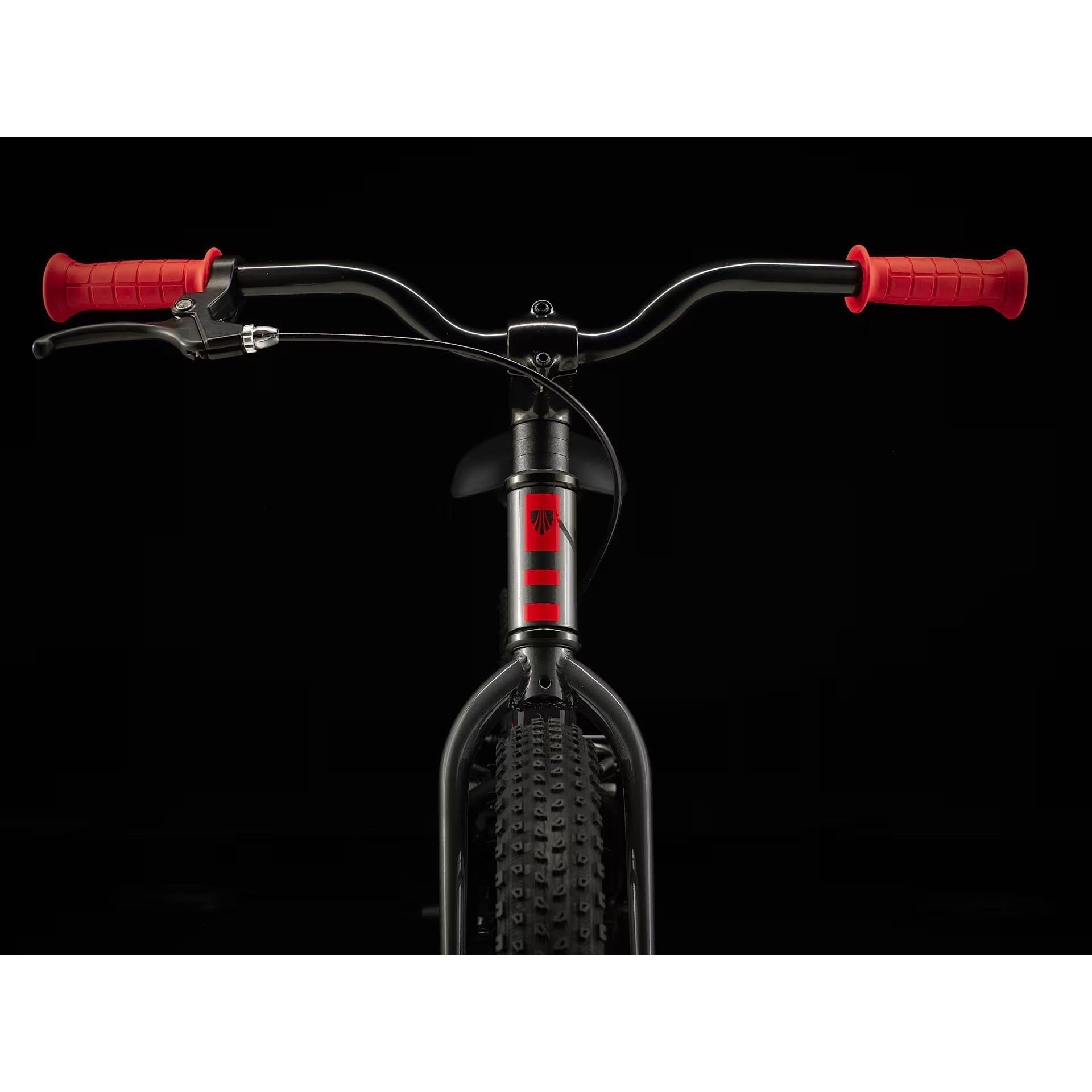 Trek Precaliber 20 Boy's Single Speed Lithium Grey
