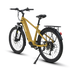 ENVO D50 Dual Sport