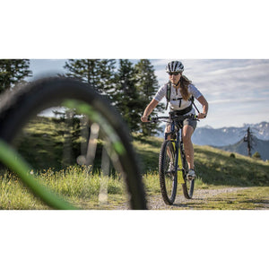 Corratec E-Power X-Vert Pro Trapez Anthracite/Blue