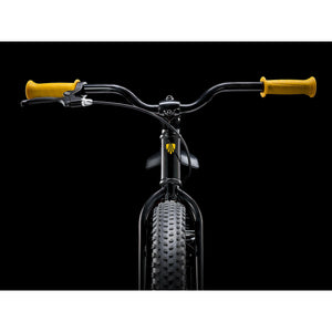 Trek Precaliber 20 Boy's Single Speed Black