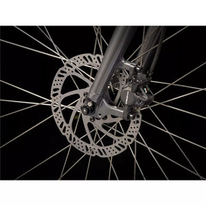 Trek Verve 2 Disc