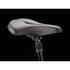 Trek Verve 2 Disc