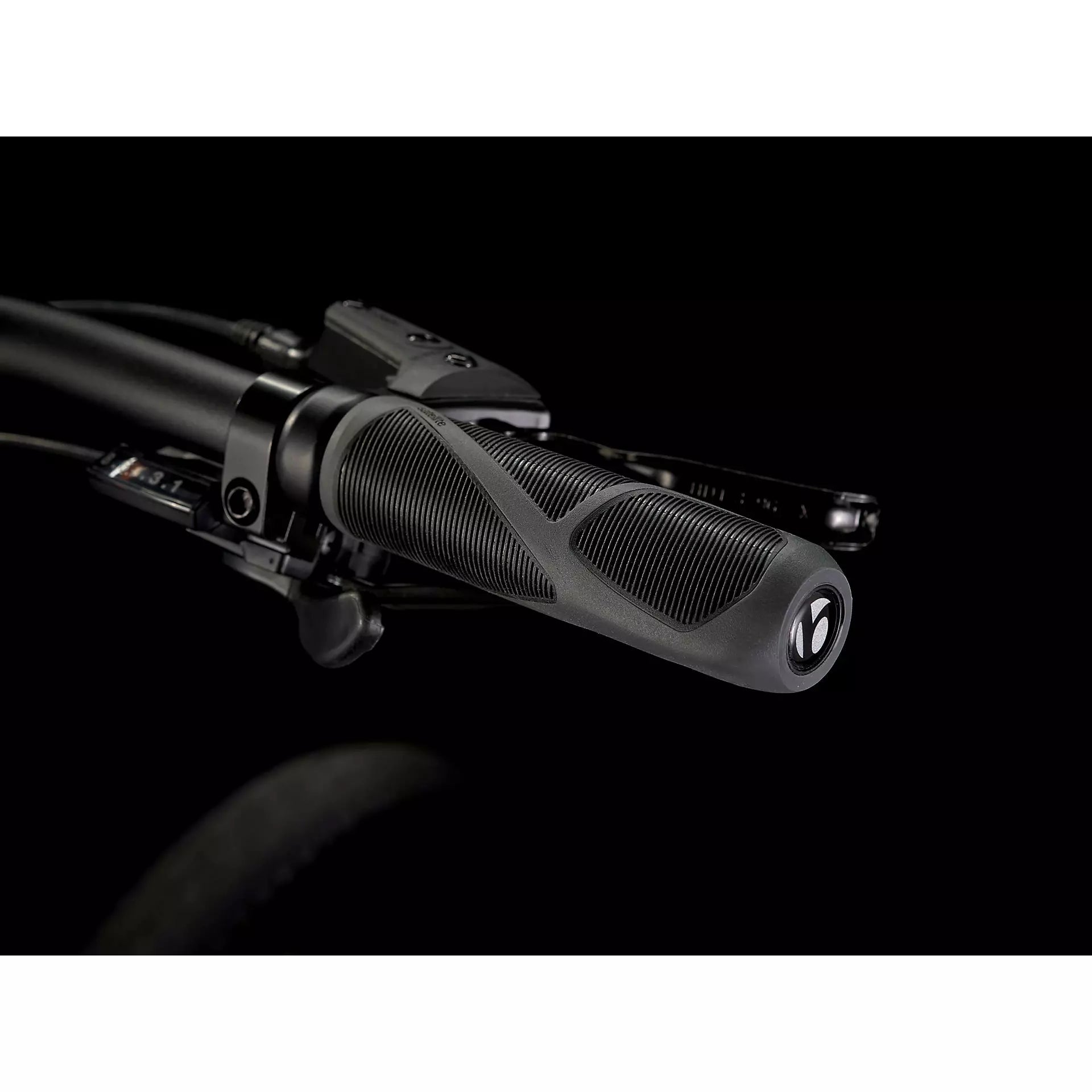 Trek Verve 2 Disc